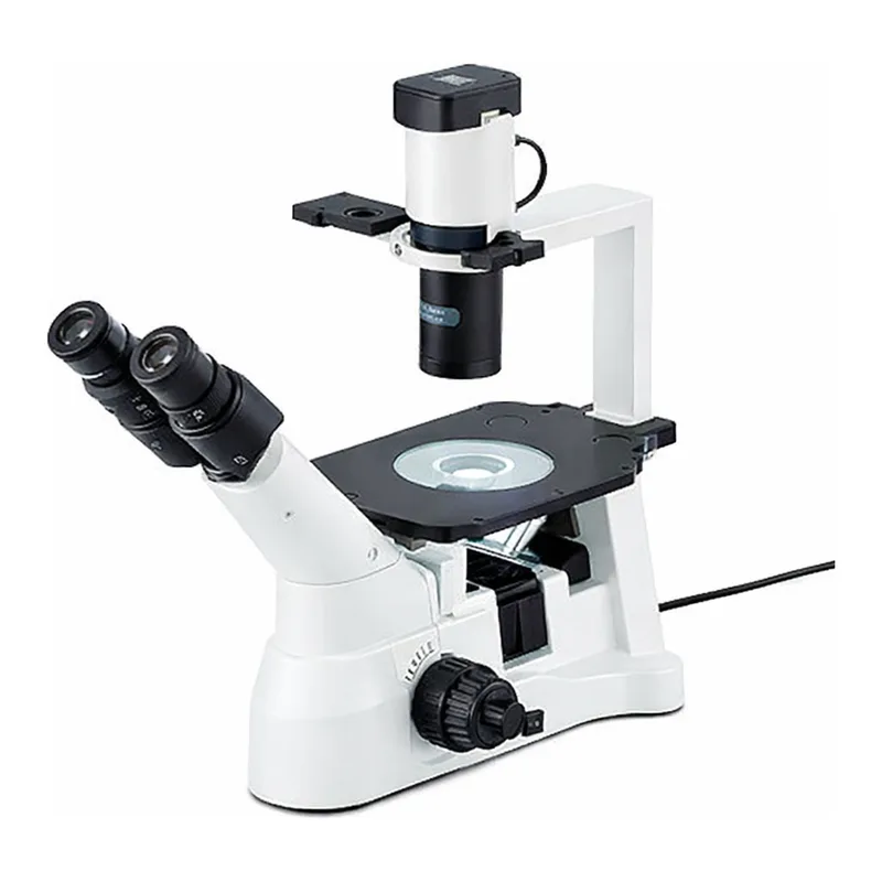 AS ONE Inverted Microscope 40 - 600 x RD-50
