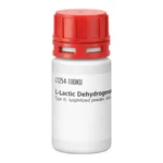 Merck L-LACTIC DEHYDROGENASE FROM RABBIT&