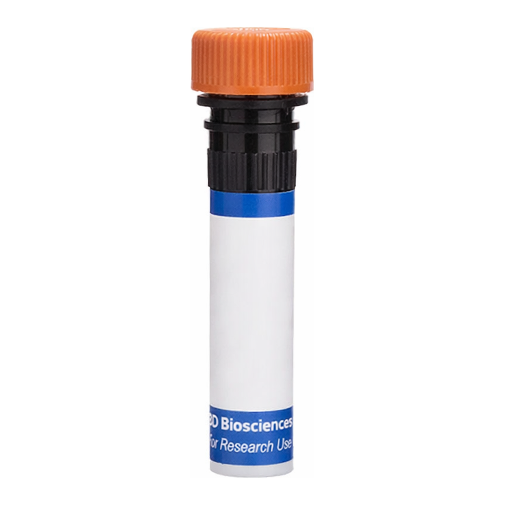 BD RB613 Mouse Anti-Human Chondroitin Sulfate (NG2)