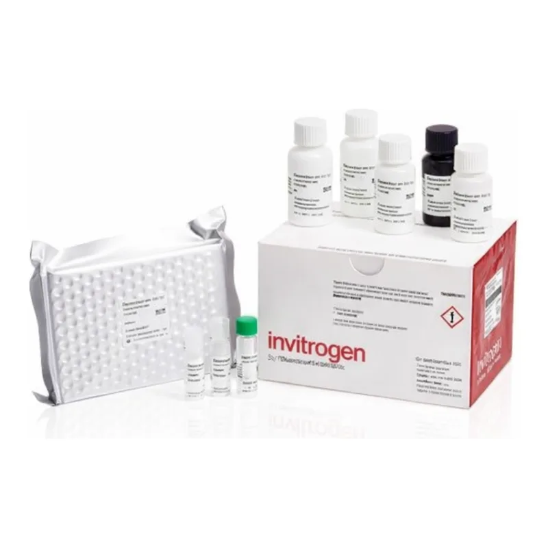 Thermo Fisher Scientific Rat Testosterone Rapid ELISA Kit