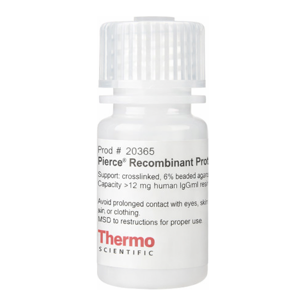 Thermo Fisher Scientific Pierce Recombinant Protein A Agarose, 5 mL