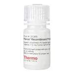 Thermo Fisher Scientific Pierce Recombinant Protein A Agarose, 5 mL