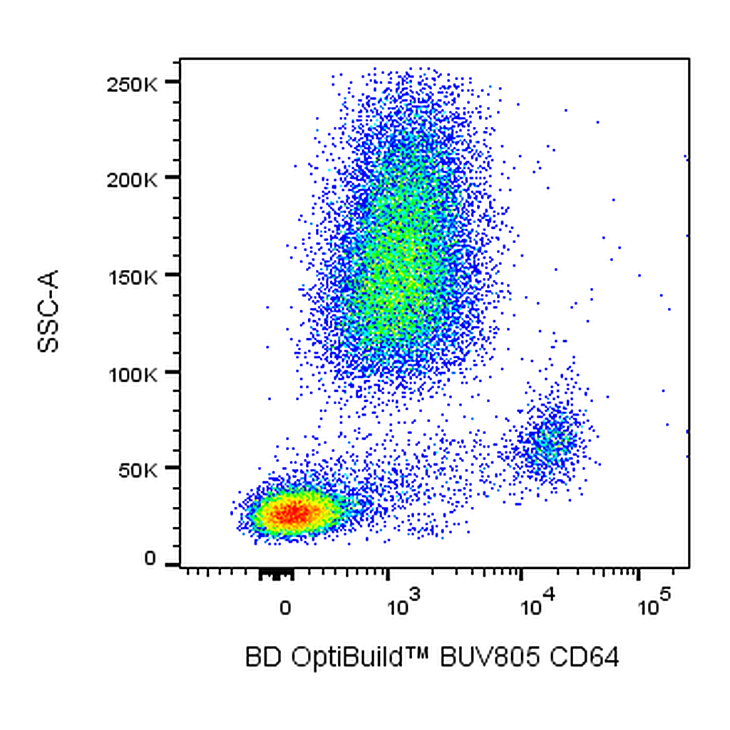 BD BUV805 Mouse Anti-Human CD64