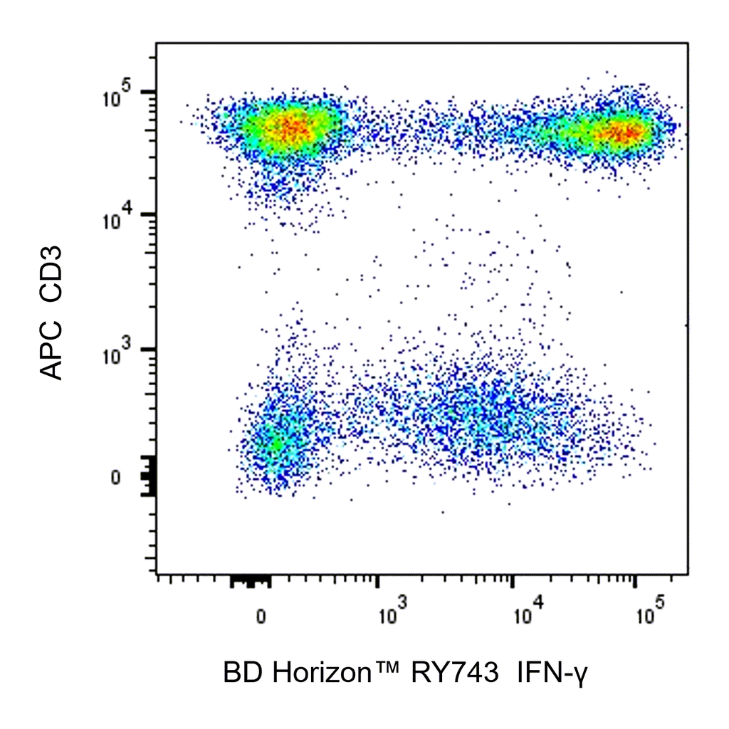 BD RY743 Mouse Anti-Human IFN-γ