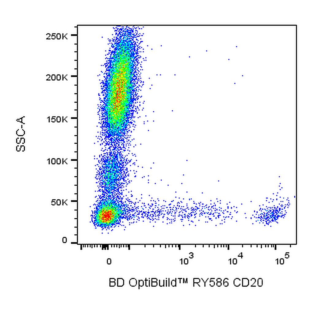 BD RY586 Mouse Anti-Human CD20