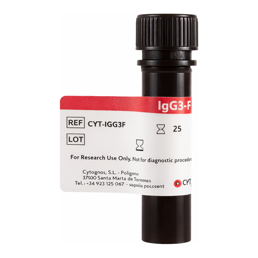 BD IgG3-FITC