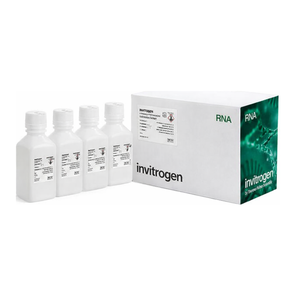 Thermo Fisher Scientific ULTRAhyb Ultrasensitive Hybridization Buffer, 4 x 125 mL