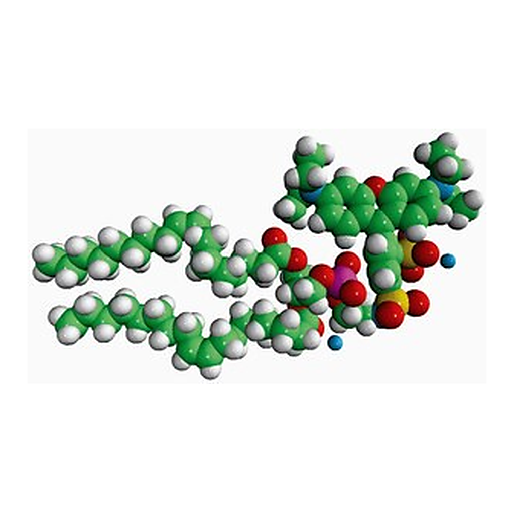 Merck 18:1 LISS RHOD PE