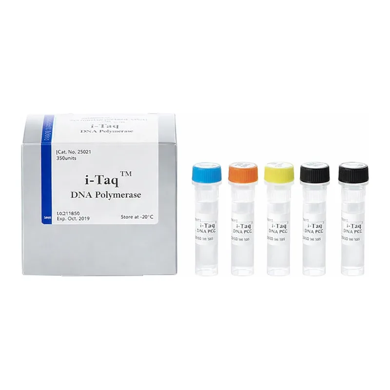 Intron i-Taq™ DNA Polymerase