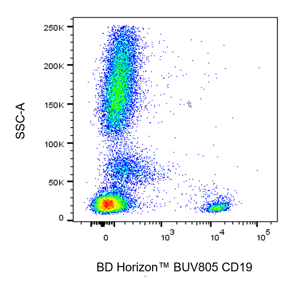 BD BUV805 Mouse Anti-Human CD19