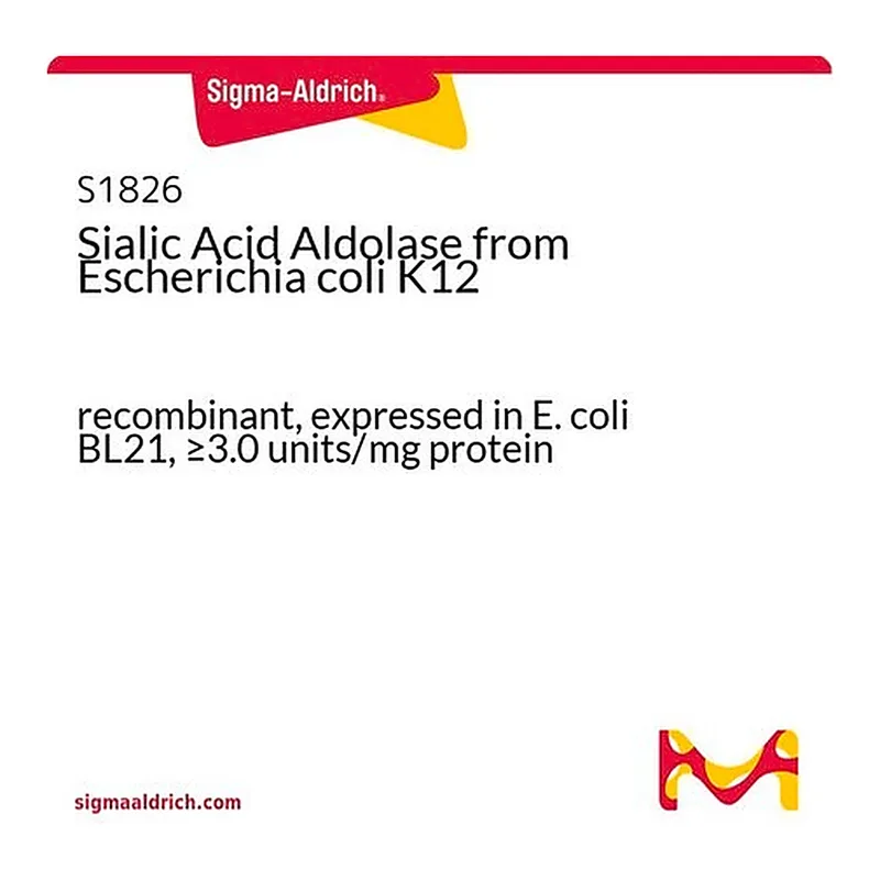 Merck Sialic Acid Aldolase from Escherichia coli K12