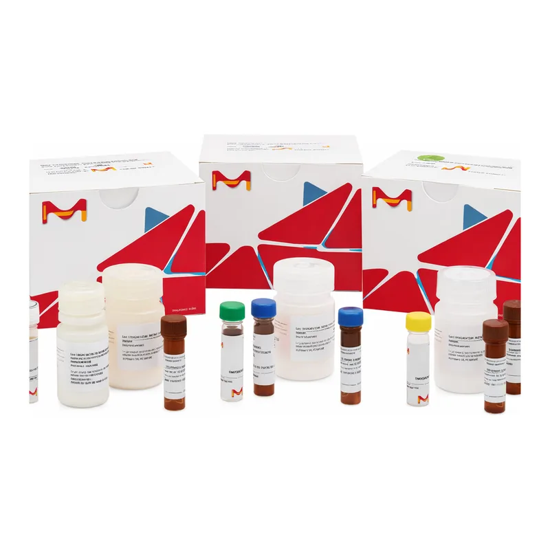 Merck Glucose-6-Phosphate Dehydrogenase Inhibitor Screening Kit