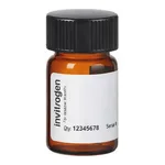 Thermo Fisher Scientific BODIPY FL-X NHS Ester (Succinimidyl Ester)