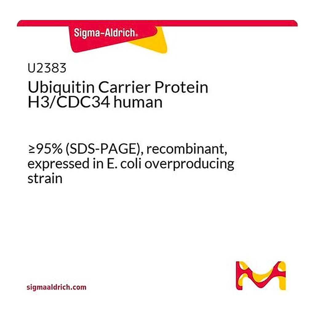 Merck Ubiquitin Carrier Protein H3/CDC34 human