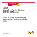 Merck Ubiquitin Carrier Protein H3/CDC34 human
