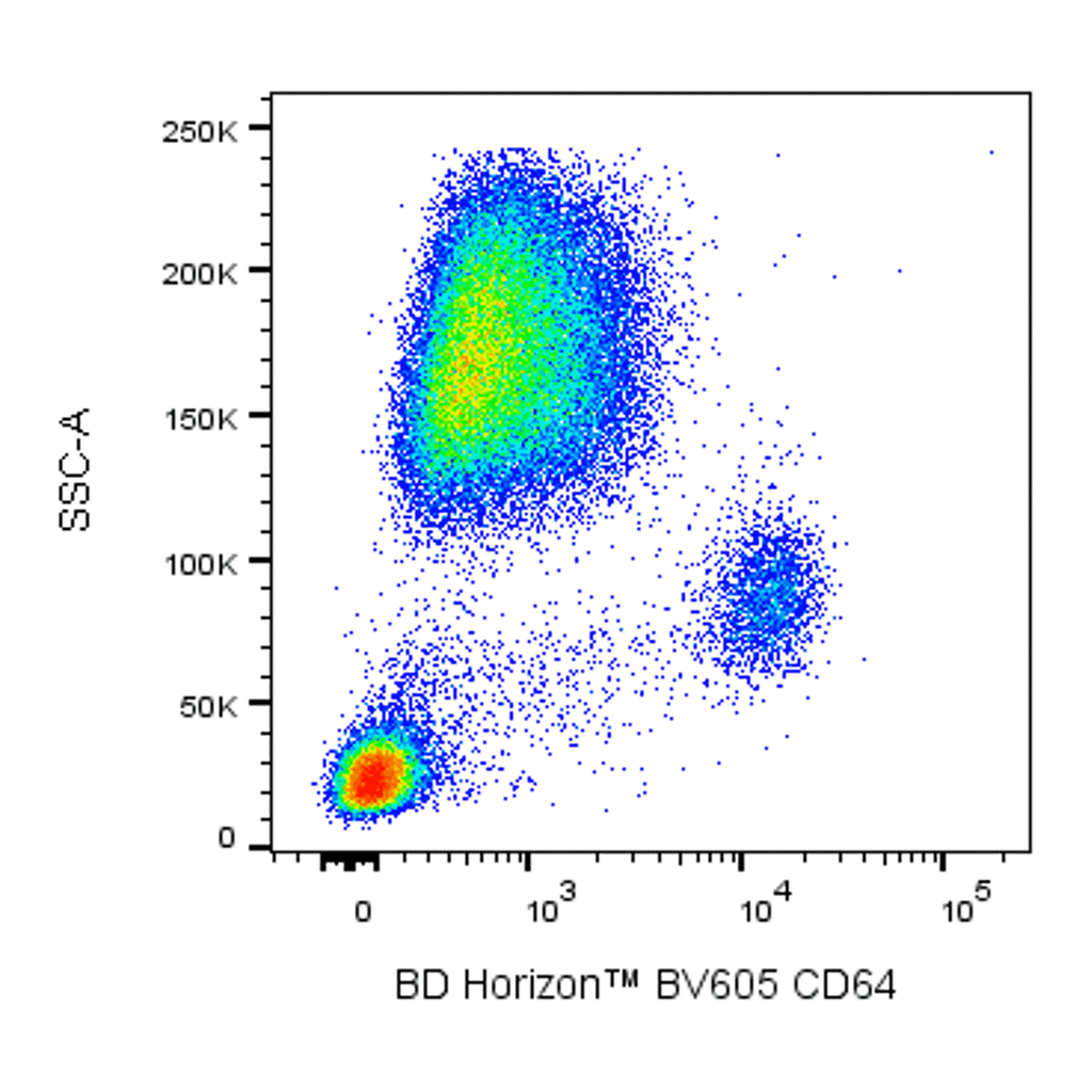 BD BV605 Mouse Anti-Human CD64