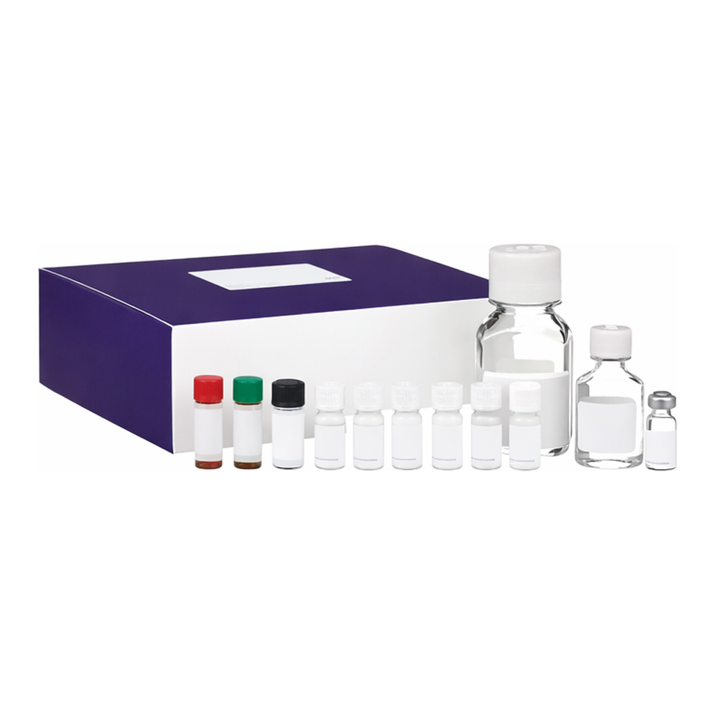BD Human Chemokine Kit