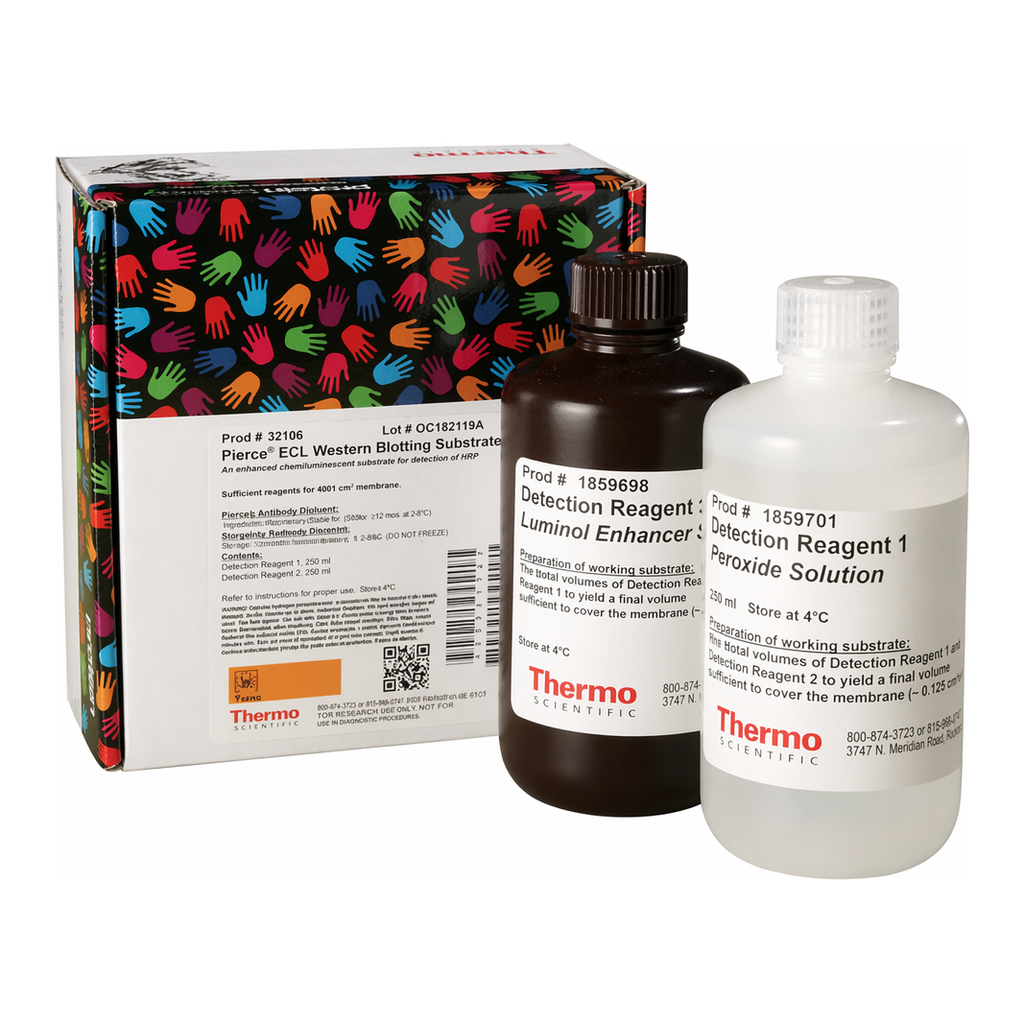 Thermo Fisher Scientific Pierce ECL Western Blotting Substrate