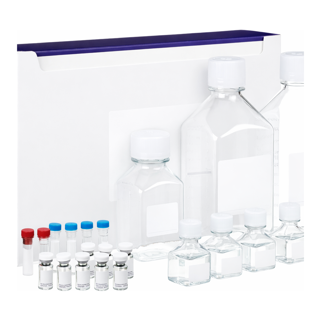 BD Human Enhanced Sensitivity Master Buffer Kit