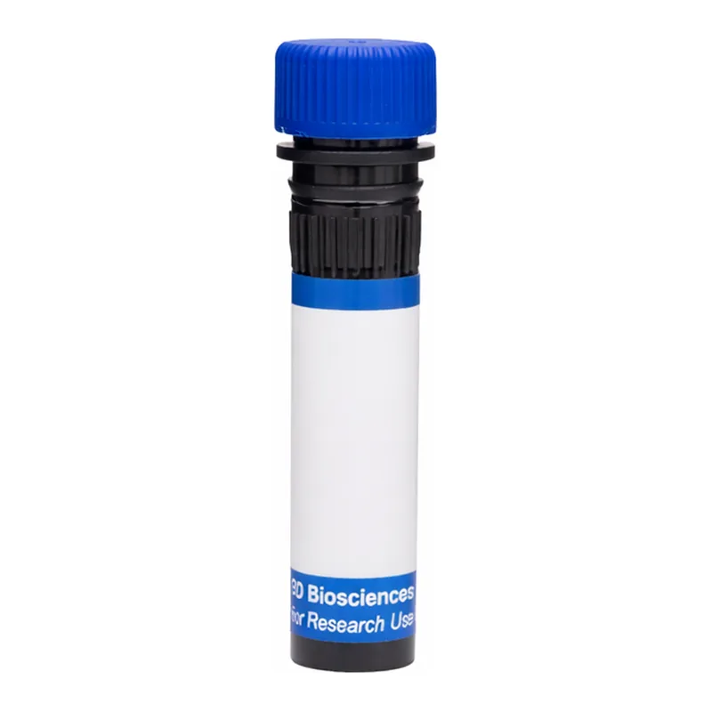BD RB780 Mouse Anti-Human P-glycoprotein (CD243)