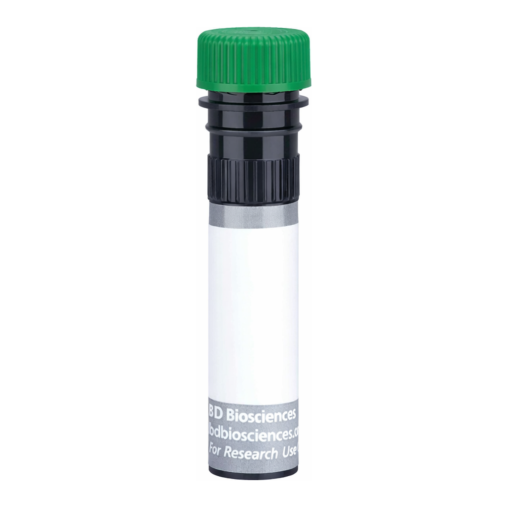 BD BUV563 Mouse Anti-Human CD268 (BAFF Receptor)