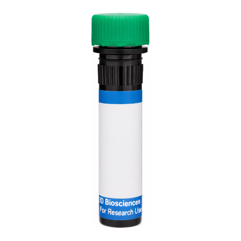 BD RB545 Rat Anti-Mouse Vβ 11 T-Cell Receptor