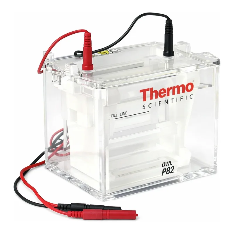 Thermo Fisher Scientific Owl P82 Dual-Gel Electrophoresis Double Sided Vertical System, 8-10 x 10cm gel, 150-300mL buffer volume