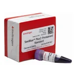 Thermo Fisher Scientific SeeBlue Plus2 Pre-stained Protein Standard