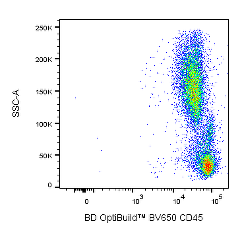 BD BV650 Mouse Anti-Non-Human Primate CD45