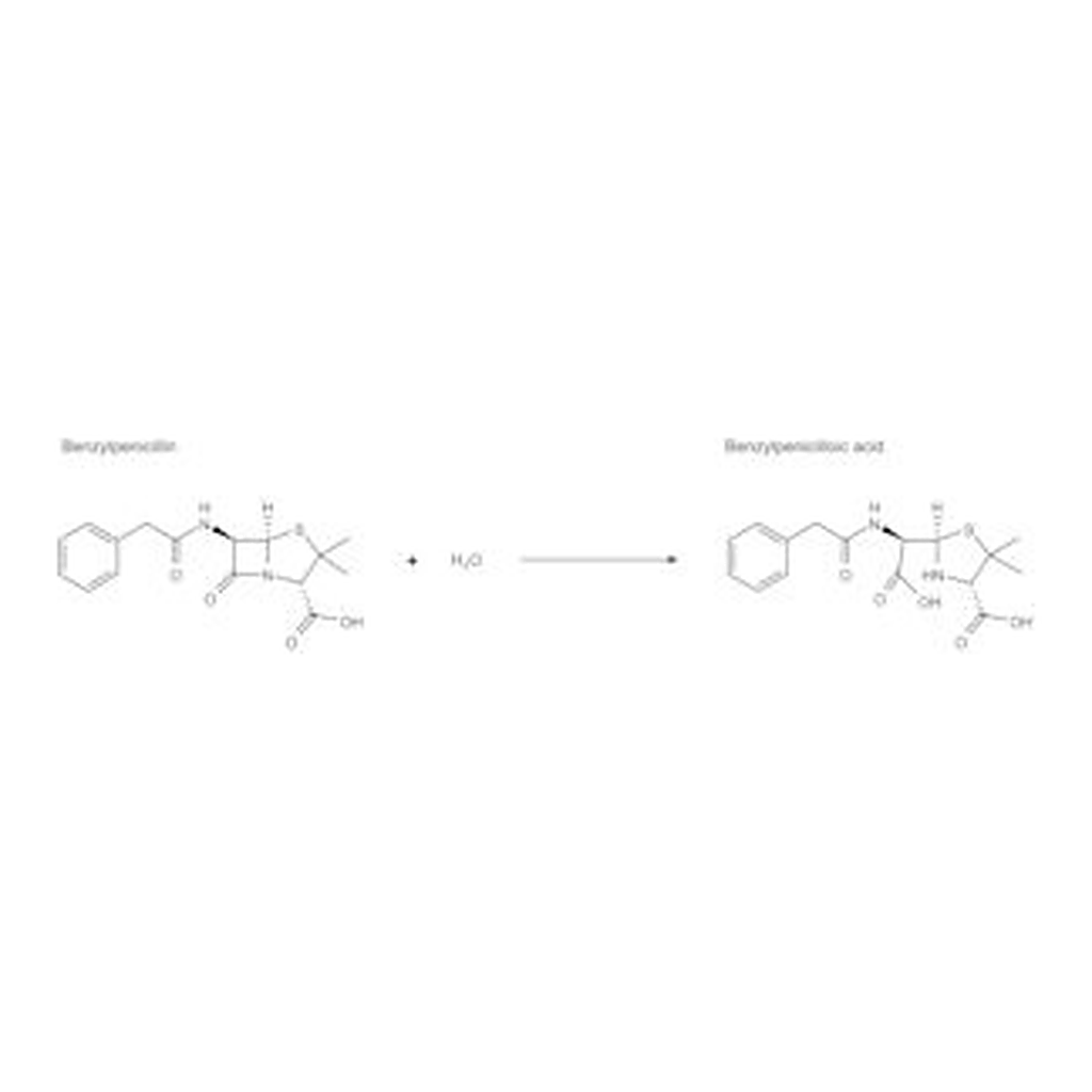 Merck PENICILLINASE TYPE IV FROM ENTEROBACTER