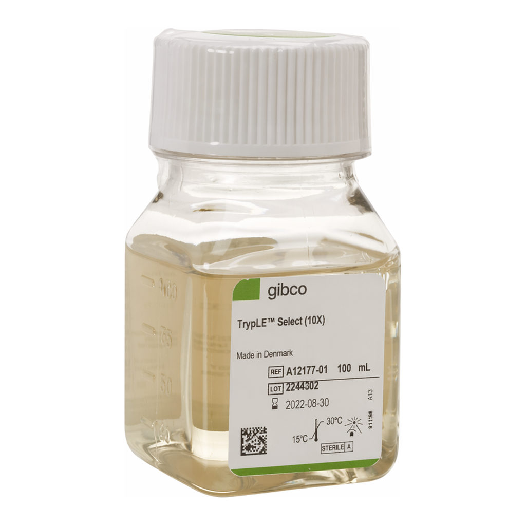 Thermo Fisher Scientific TrypLE Select Enzyme (10X), no phenol red, 100 mL