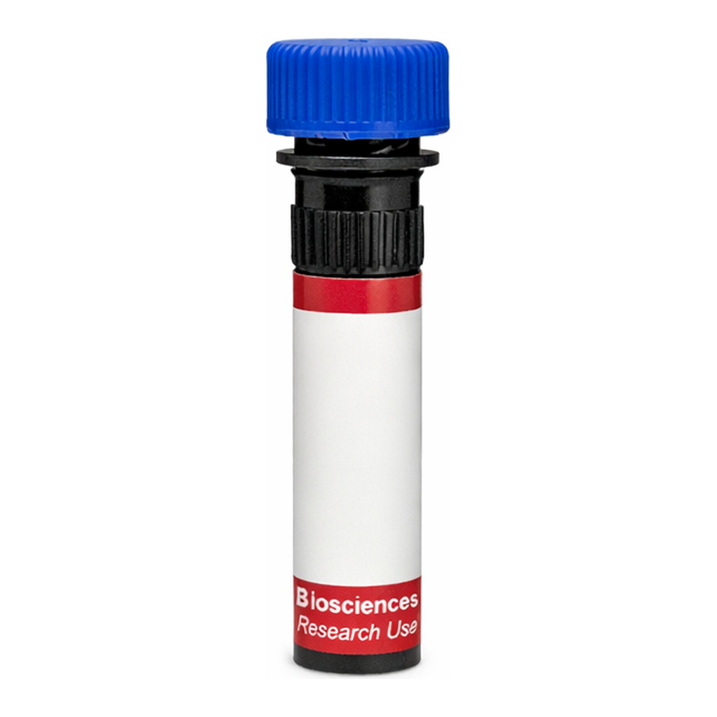 BD R718 Mouse Anti-Rat γδ T-Cell Receptor