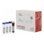 Thermo Fisher Scientific Cathepsin D Human ProcartaPlex Simplex Kit