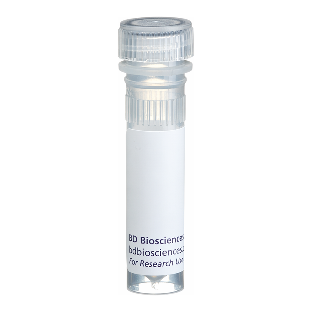 BD Biotin Rat Anti-Mouse Ly-6C