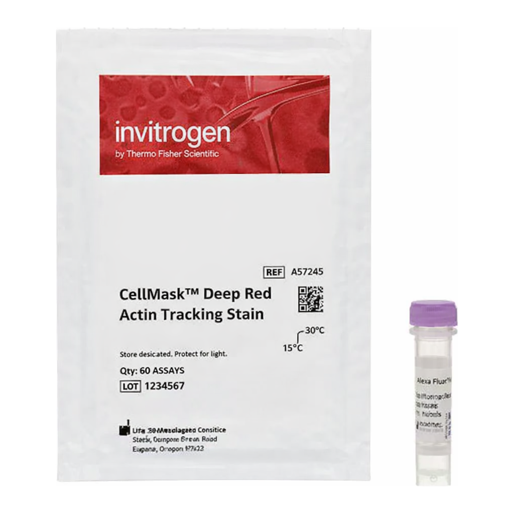 Thermo Fisher Scientific CellMask Deep Red Actin Tracking Stain, 1 x 60 Assays