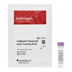 Thermo Fisher Scientific CellMask Deep Red Actin Tracking Stain, 1 x 60 Assays