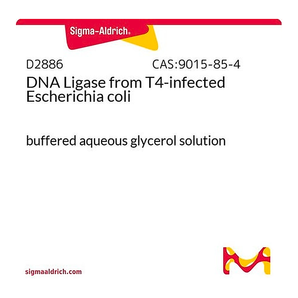 Merck DNA Ligase from T4-infected Escherichia coli