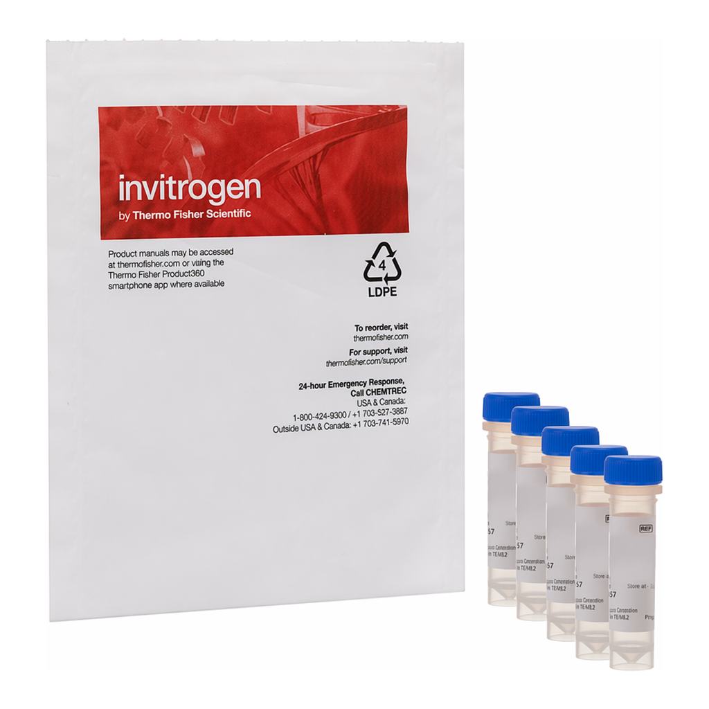 Thermo Fisher Scientific Fluo-4 AM - Packaged For High-Throughput Screening