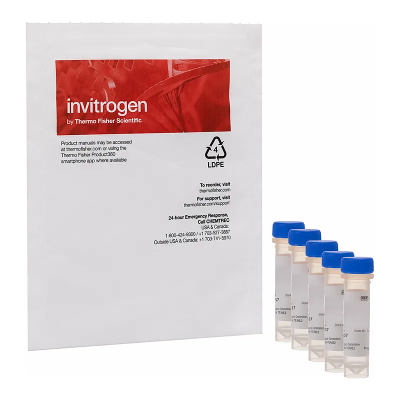 Thermo Fisher Scientific Fluo-4 AM - Packaged For High-Throughput Screening