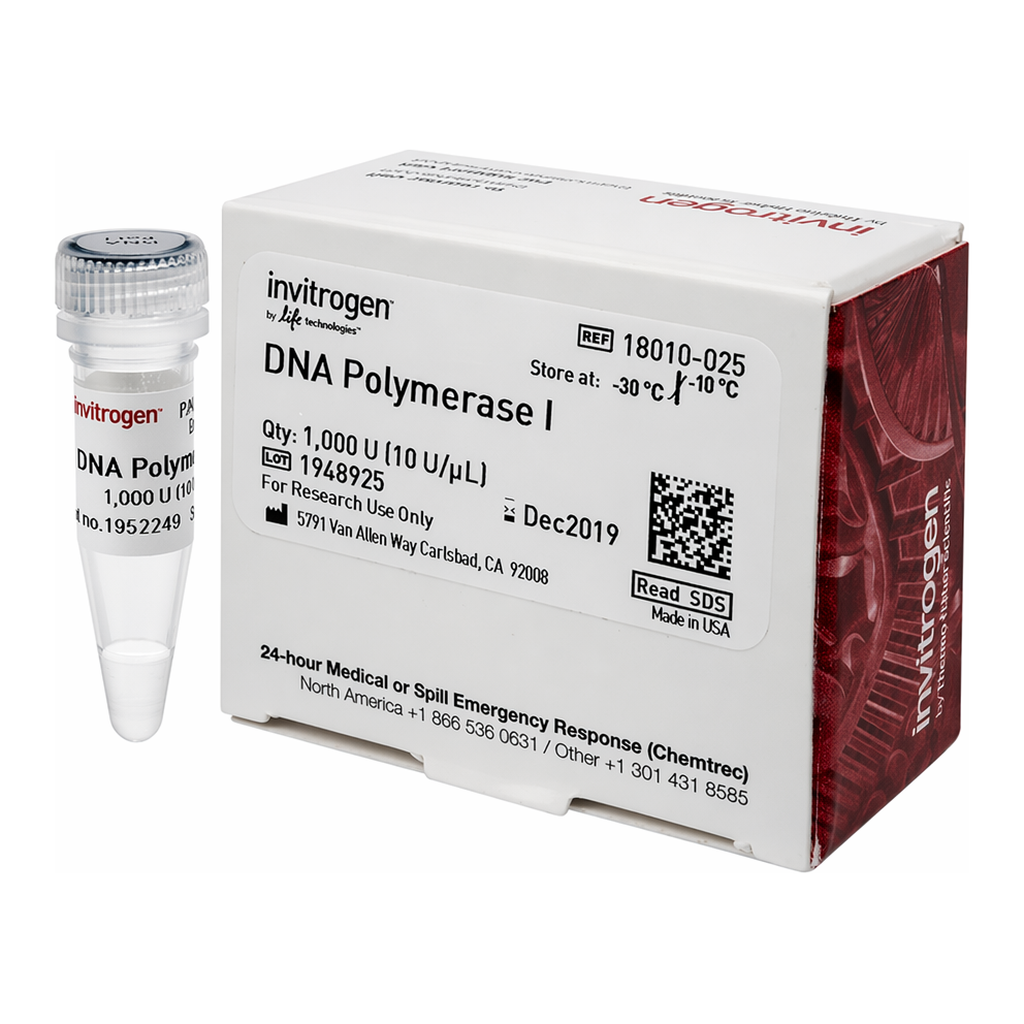 Thermo Fisher Scientific DNA Polymerase I, 250 U