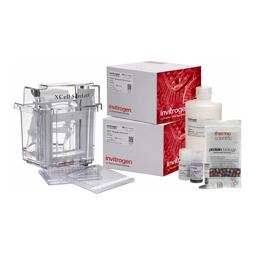 Thermo Fisher Scientific NuPAGE Bis-Tris XCell SureLock Mini-Cell Welcome Pack, 4 to 12%, 10-well