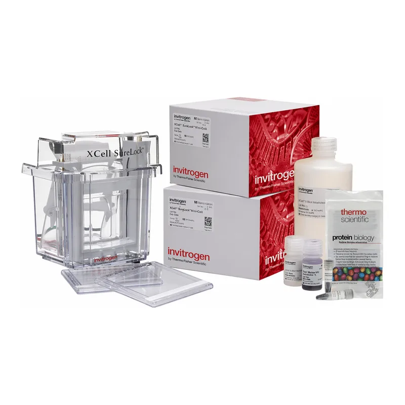 Thermo Fisher Scientific NuPAGE Bis-Tris XCell SureLock Mini-Cell Welcome Pack, 4 to 12%, 10-well