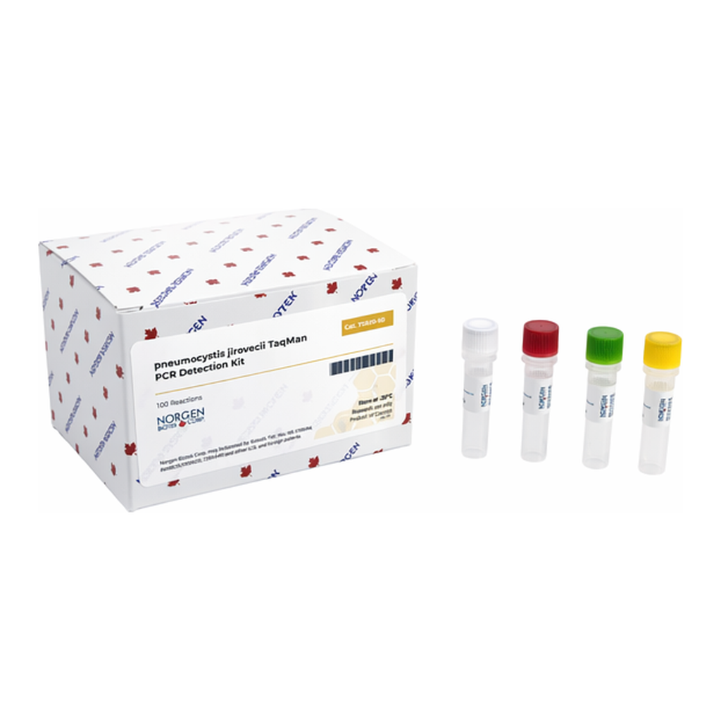 Norgen Pneumocystis jirovecii TaqMan PCR Kit
