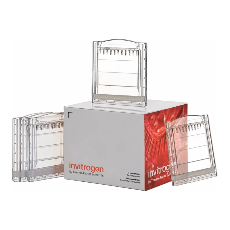 Thermo Fisher Scientific NativePAGE Bis-Tris Mini Protein Gels, 4 to 16%, 1.0 mm, 10-well, 10 gels (1 box)