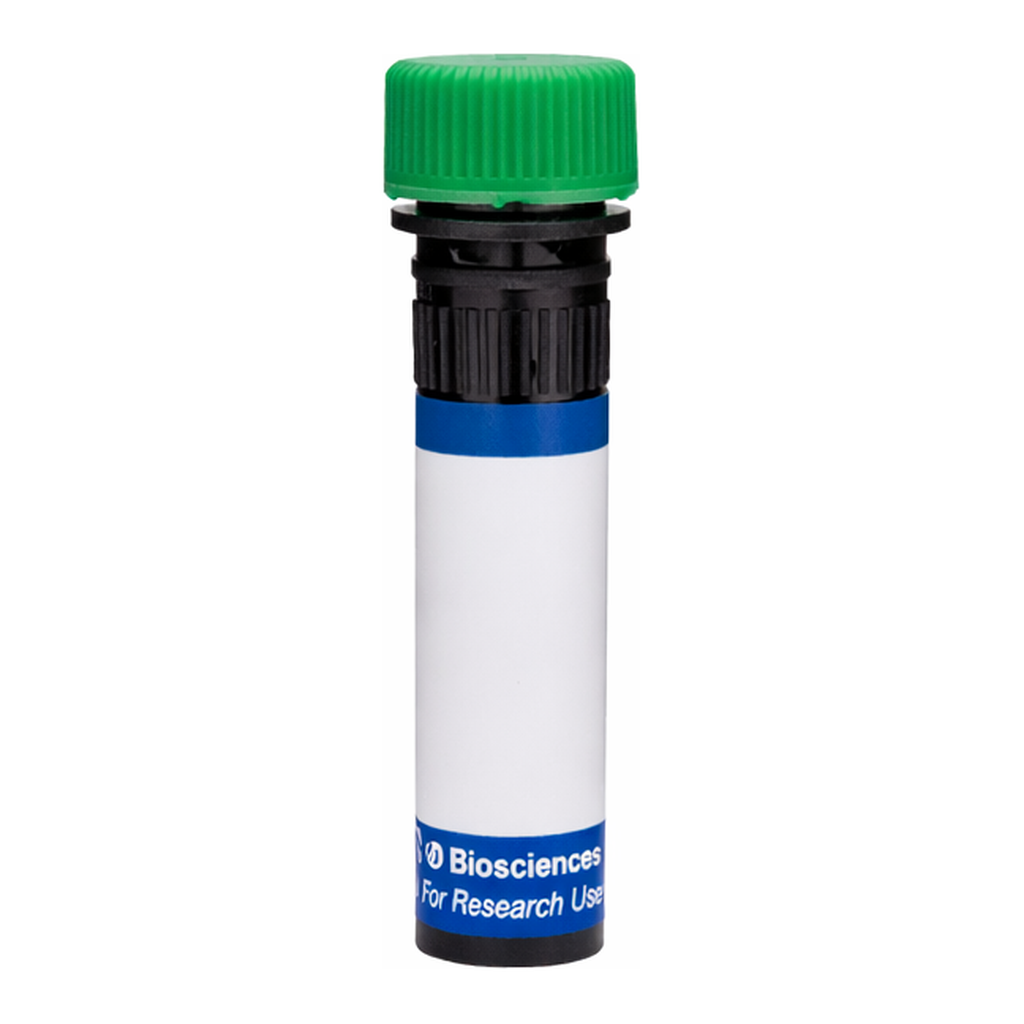 BD RB545 Mouse Anti-Rat γδ T-Cell Receptor