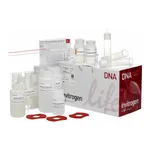 Thermo Fisher Scientific PureLink HiPure Plasmid Maxiprep Kit, 10 Preps