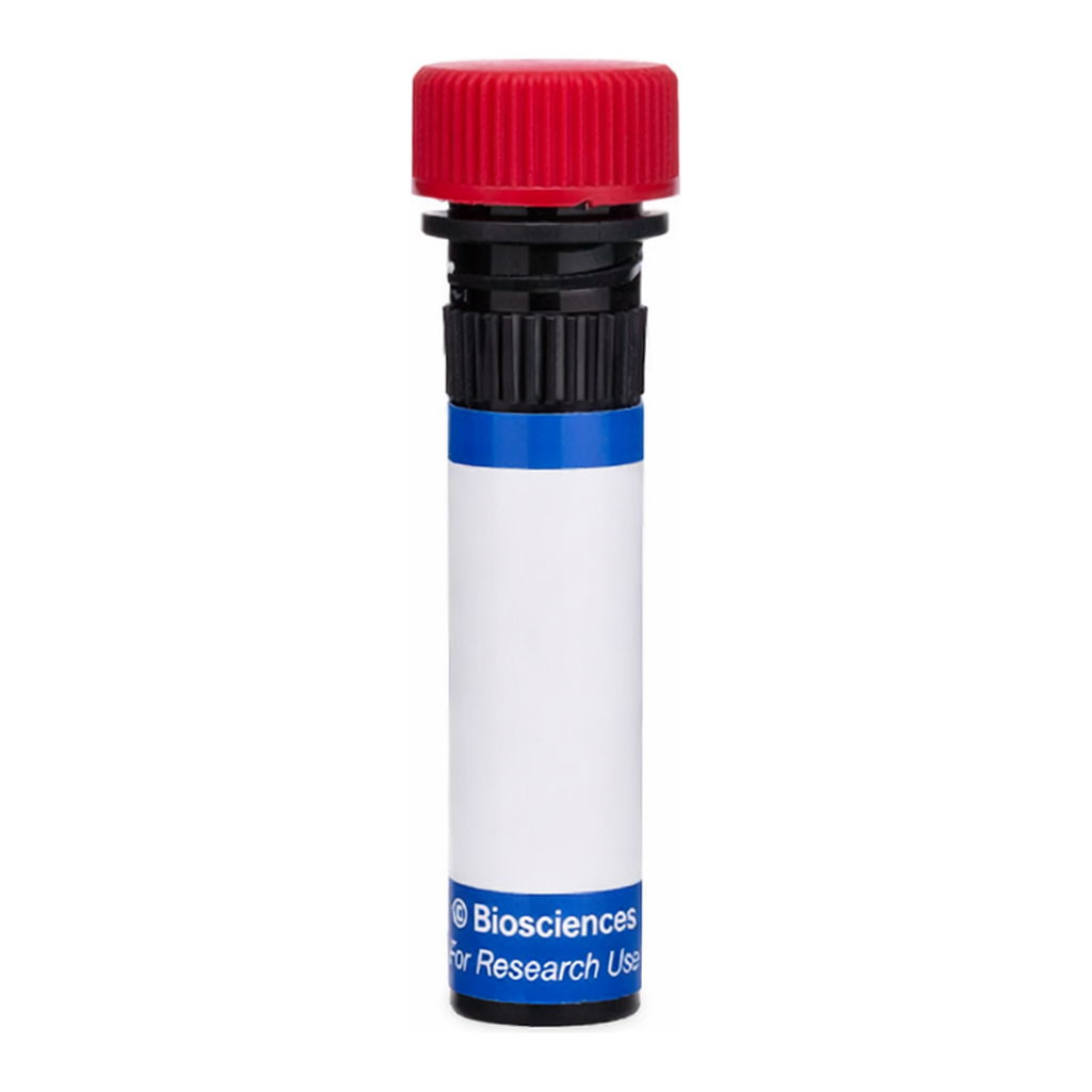 BD PE F(ab')2 Donkey anti-Rabbit IgG (Multiple Adsorption)