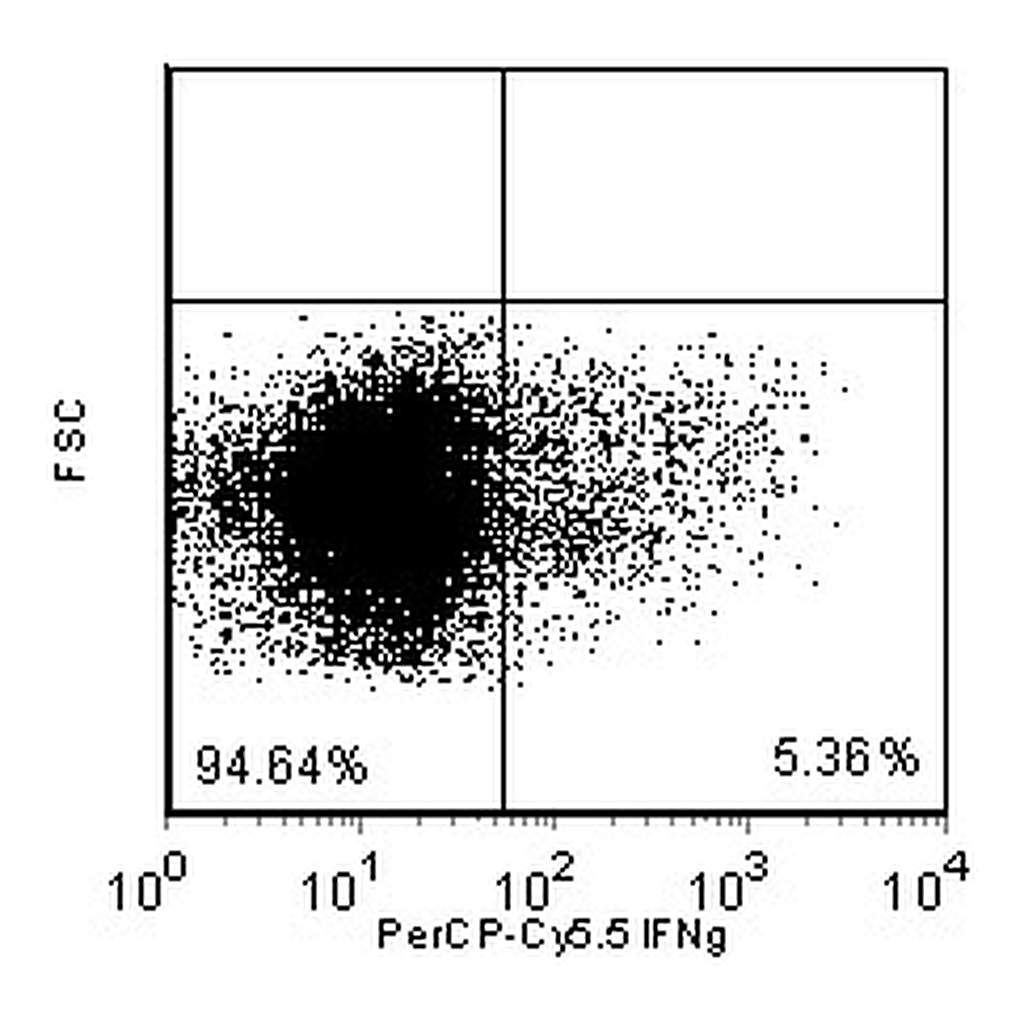 BD PerCP-Cy5.5 Rat Anti-Mouse IFN-γ