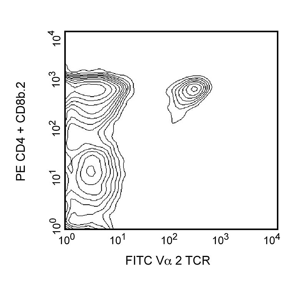 BD FITC Rat Anti-Mouse Vα2 TCR