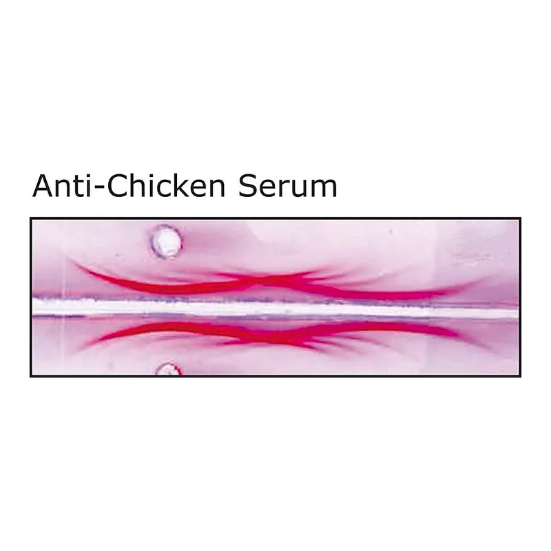 Merck Anti-Chicken Serum antibody produced in rabbit